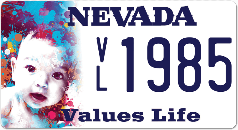 Values Life license plate